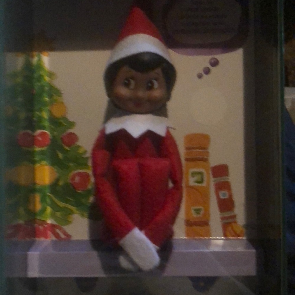 New in box girl elf on the Shelf. Dark skin with brown eyes
